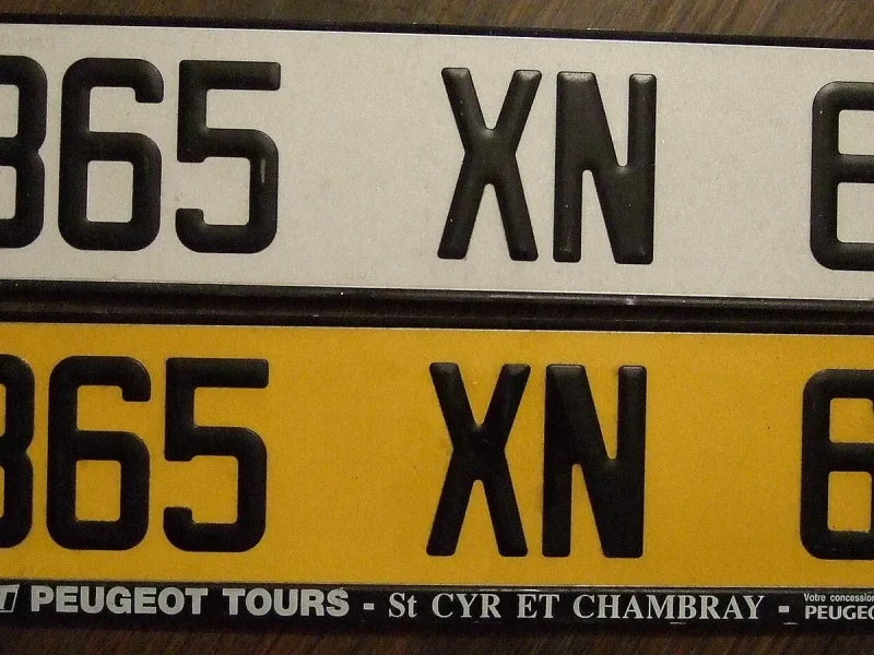 Options de design pour plaques d&rsquo;immatriculation en France
